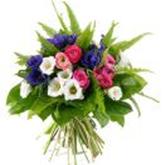 Résultat de recherche d'images pour "fleurs de printemps et d'été"