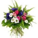 Résultat de recherche d'images pour "fleurs de printemps et d'été"